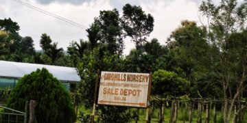 Private nursery operating illegally inside state forest, alleges RTI activist