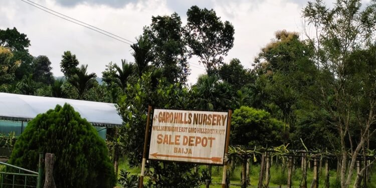 Private nursery operating illegally inside state forest, alleges RTI activist