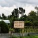 Private nursery operating illegally inside state forest, alleges RTI activist