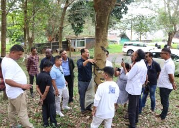 Meghalaya emerges as major rubber-growing state with 23,000 ha under INROAD