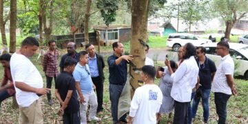 Meghalaya emerges as major rubber-growing state with 23,000 ha under INROAD