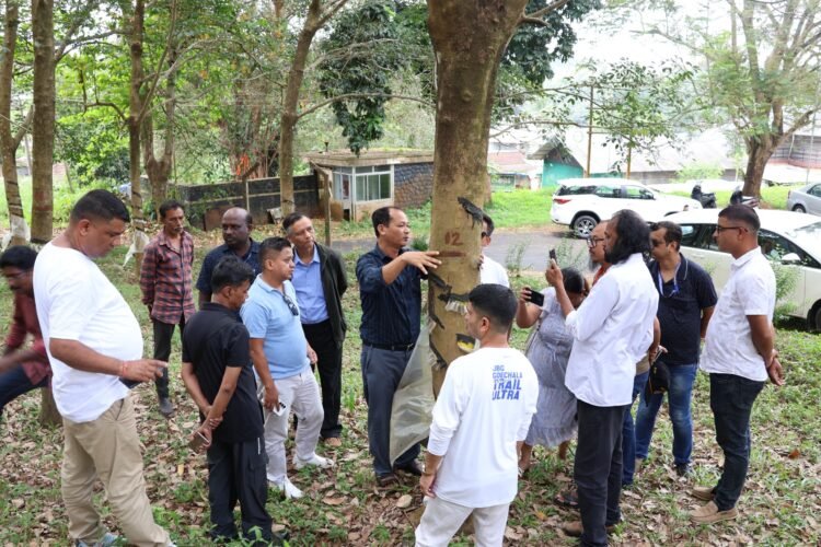 Meghalaya emerges as major rubber-growing state with 23,000 ha under INROAD