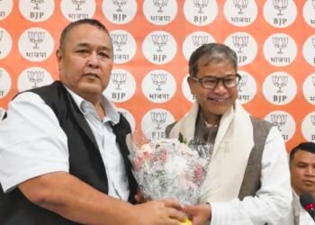Joining BJP will help move matters forward for State: Rymbui