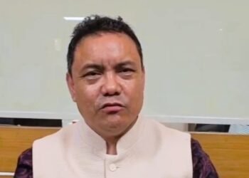NPP united, Delhi visit for official work, no merger talks with BJP: Dhar