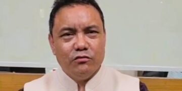 NPP united, Delhi visit for official work, no merger talks with BJP: Dhar