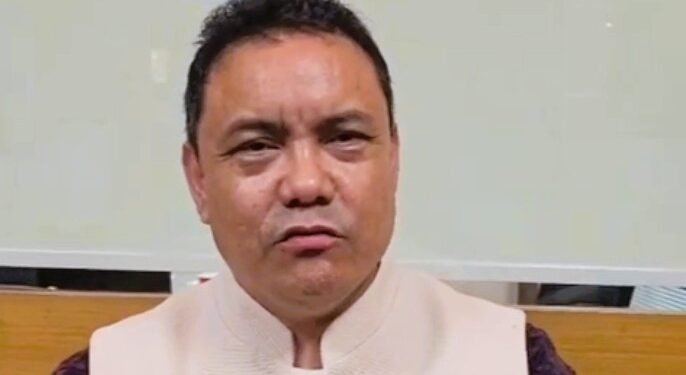 NPP united, Delhi visit for official work, no merger talks with BJP: Dhar