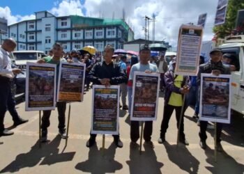 African Swine Fever kills thousands of pigs, farmers protest in Shillong