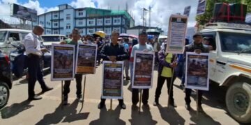African Swine Fever kills thousands of pigs, farmers protest in Shillong