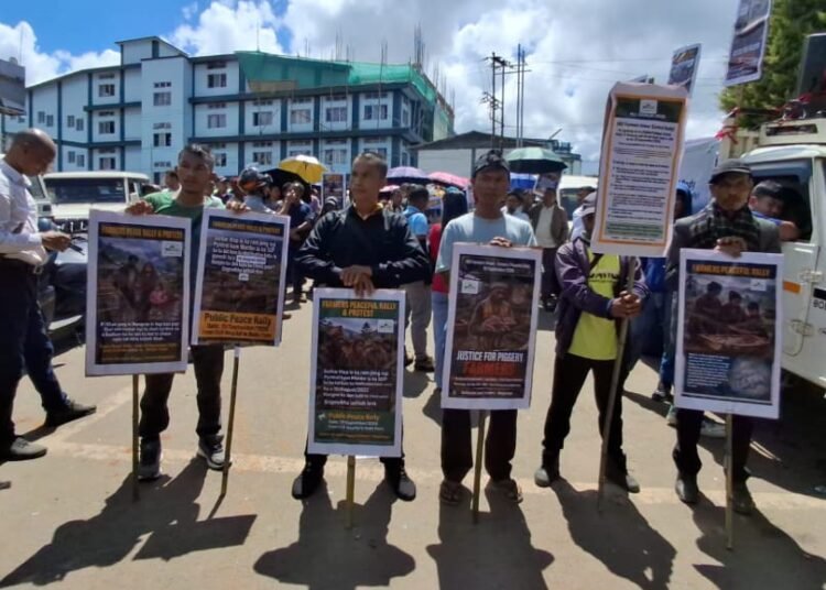 African Swine Fever kills thousands of pigs, farmers protest in Shillong