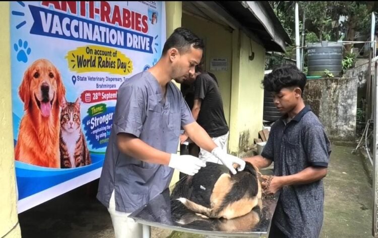 Garo Hills marks World Rabies Day with vaccination drives, awareness