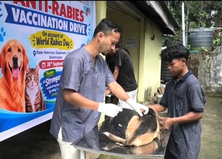 Garo Hills marks World Rabies Day with vaccination drives, awareness