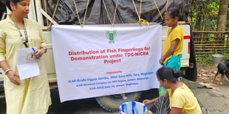 21 farmers get fish fingerlings under ICAR-KVK initiative