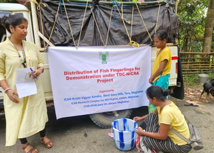21 farmers get fish fingerlings under ICAR-KVK initiative
