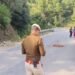 8-year-old girl killed while crossing road