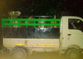 ASPF files FIR over cattle smuggling, assault on members