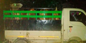 ASPF files FIR over cattle smuggling, assault on members