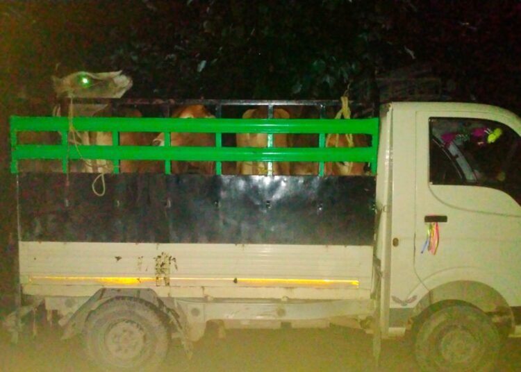 ASPF files FIR over cattle smuggling, assault on members