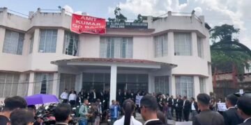 Govt anti-local, promoting dynasty in law: VPP