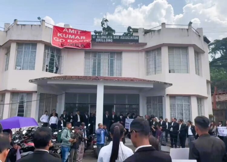 Govt anti-local, promoting dynasty in law: VPP