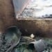 ED office attacked, City hit by petrol bomb spree