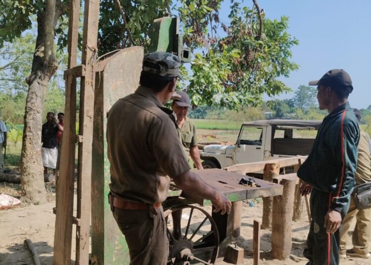 Forest Dept cracks down on illegal sawmills in WGH, seizes timber