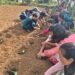 KVKs launch Khet Bachao Abhiyan across state