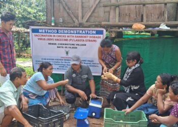 KVK demonstrates Ranikhet vaccination for chicks in WGH