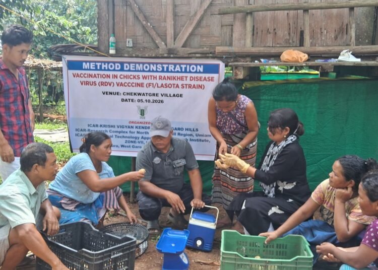 KVK demonstrates Ranikhet vaccination for chicks in WGH
