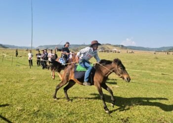 Kites soar, hooves thunder for Golden Jubilee in WKH