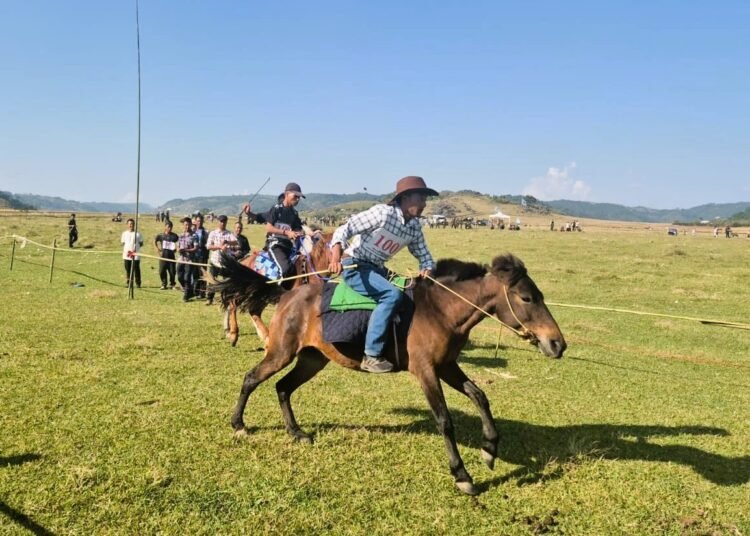 Kites soar, hooves thunder for Golden Jubilee in WKH
