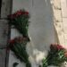 Meghalaya delegation finds 3 more Garo WWI graves in Malta
