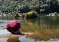 Meghalaya experiences unseasonably warm weather for late October