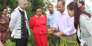 NEC Secretary reviews Lakadong turmeric project in WJH