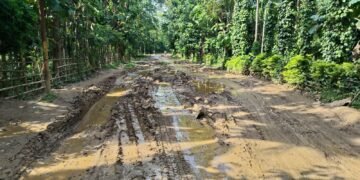 ACHIK demands immediate ban on heavy dumpers on Purakhasia-Salmanpara Road