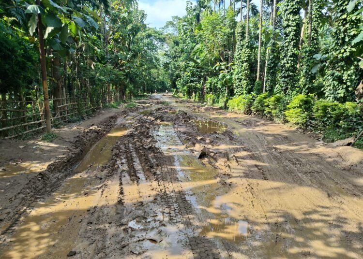 ACHIK demands immediate ban on heavy dumpers on Purakhasia-Salmanpara Road