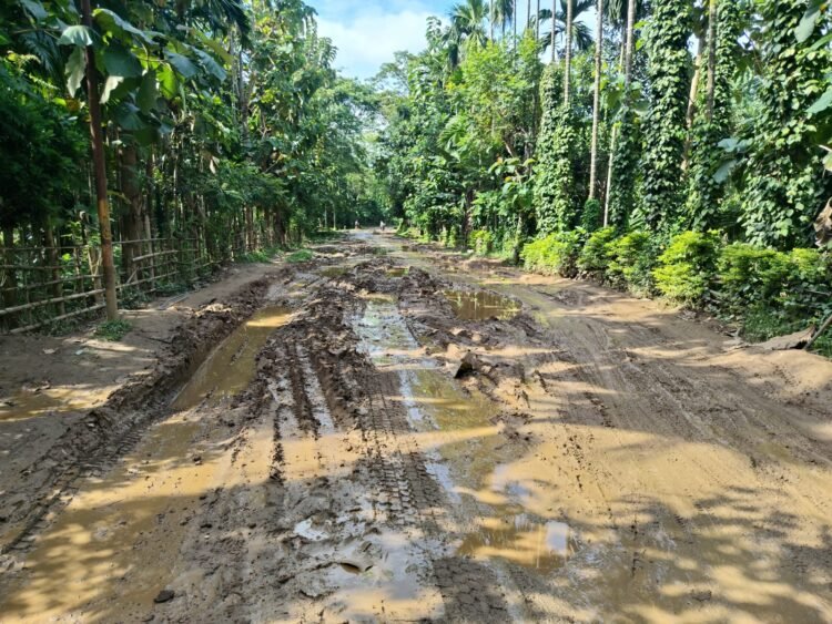 ACHIK demands immediate ban on heavy dumpers on Purakhasia-Salmanpara Road