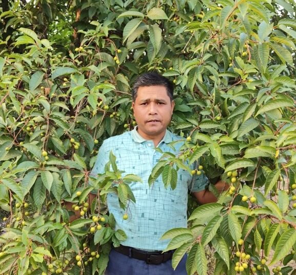 Sohiong: Unlocking the potential of Meghalaya’s indigenous fruit