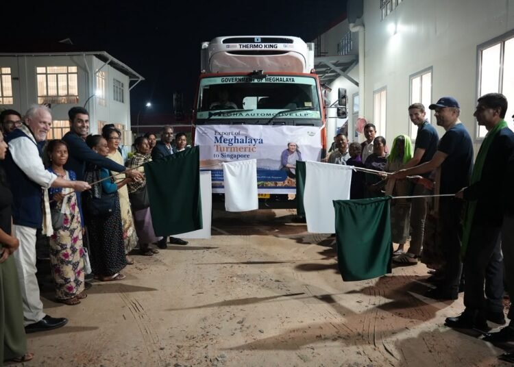 Megha-1 turmeric bound for Singapore; IFAD chief flags off export