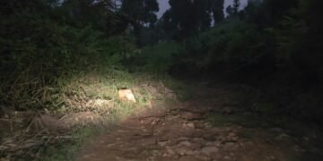 Meghalaya untouched: Not through choice but apathy