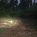 Meghalaya untouched: Not through choice but apathy