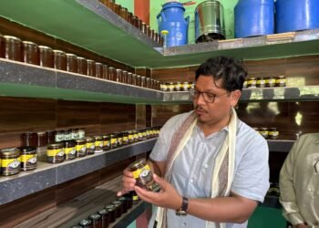 CM bats for Bee Museum, says Meghalaya honey best in world
