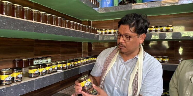 CM bats for Bee Museum, says Meghalaya honey best in world