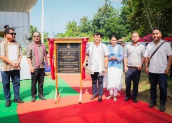 CM lays base for synthetic turf in SWGH