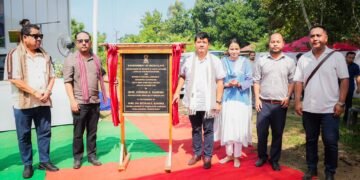 CM lays base for synthetic turf in SWGH